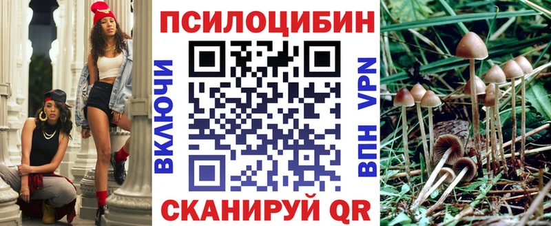 Галлюциногенные грибы мицелий Новокузнецк